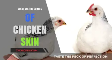 Understanding Chicken Skin: Causes and Solutions for Smooth Skin