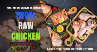 Chicken and Salmonella: What Are the Risks?