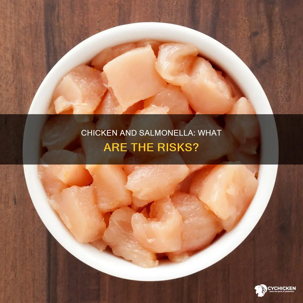 what are the chances of salmonella from raw chicken