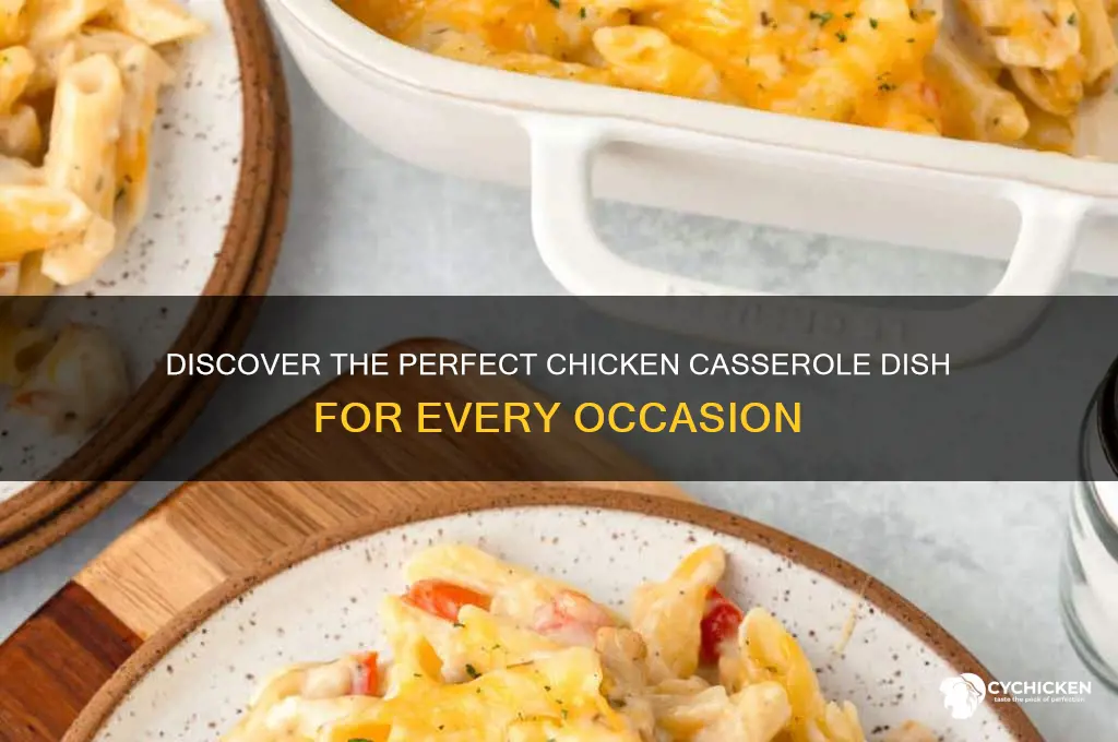 what are the chicken casserole dish for
