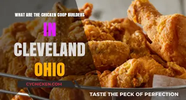Top Chicken Coop Builders in Cleveland, Ohio: A Comprehensive Guide