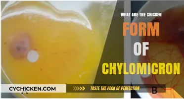 Understanding Chicken Chylomicron Equivalents: Structure, Function, and Role