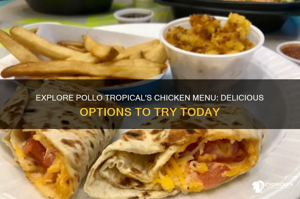 what are the chicken options at pollo tropical