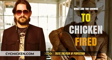 Mastering the Chords to 'Chicken Fried': A Step-by-Step Guide