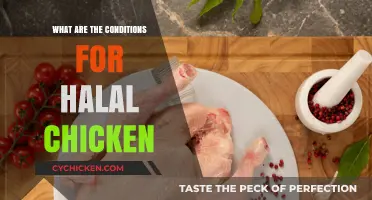 Understanding Halal Chicken: Essential Conditions for Ethical Consumption