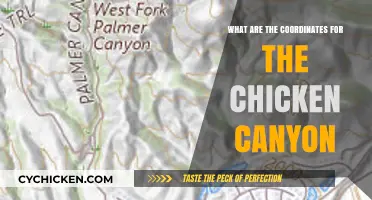Discovering Chicken Canyon: Unveiling Its Precise Geographic Coordinates