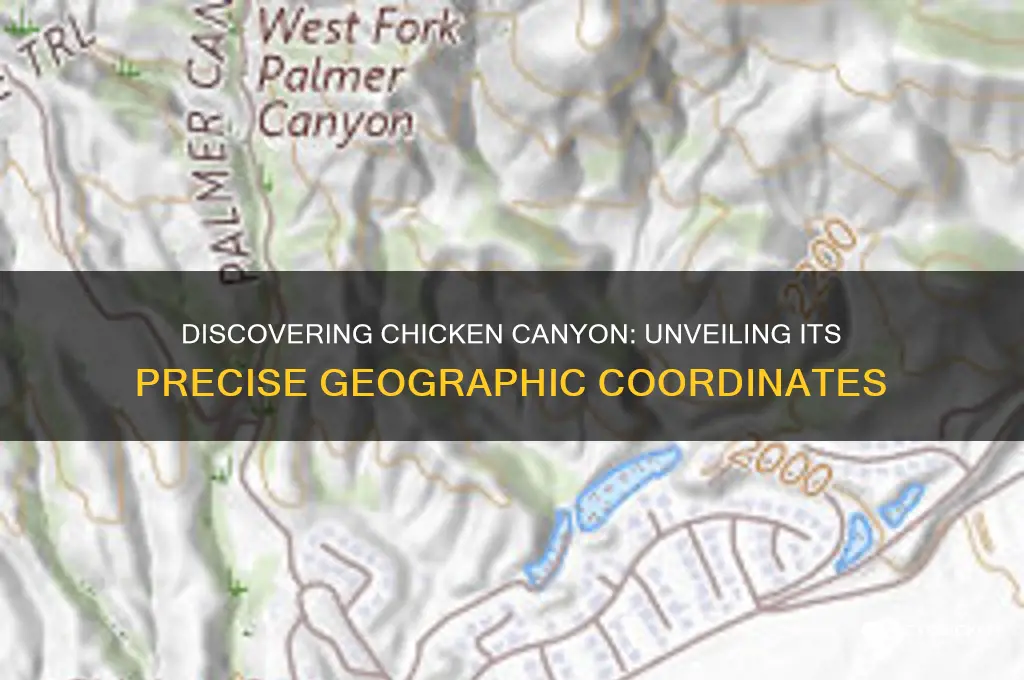 what are the coordinates for the chicken canyon