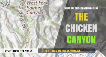 Exploring Chicken Canyon: Understanding Its Unique Coordinates and Location