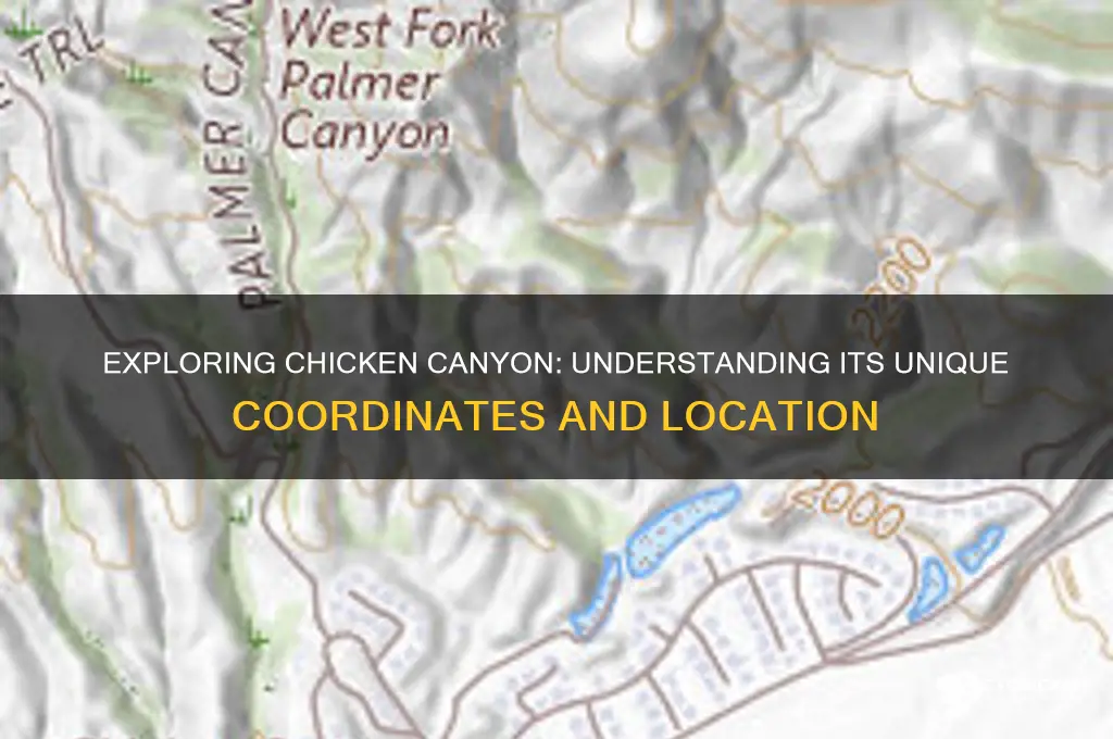 what are the corodenance for the chicken canyon