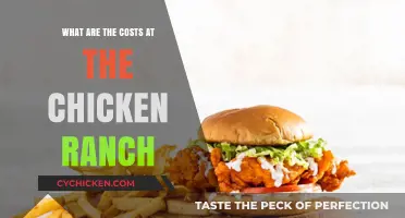 Exploring the Financial Aspects of the Chicken Ranch's Services