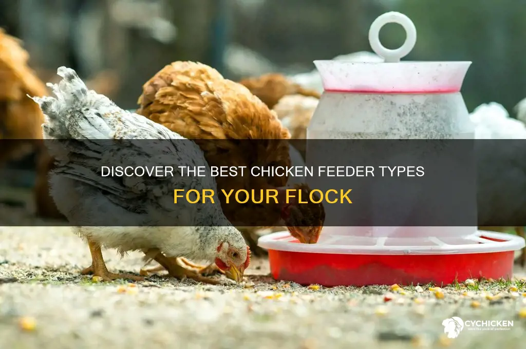 what are the different kinds of chicken feeders