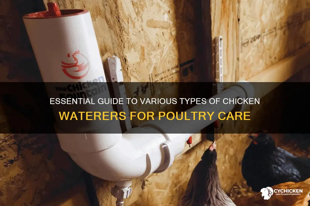 what are the different kinds of chicken waterers
