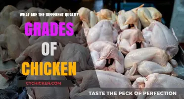 Understanding Chicken Quality Grades: A Guide to Poultry Standards
