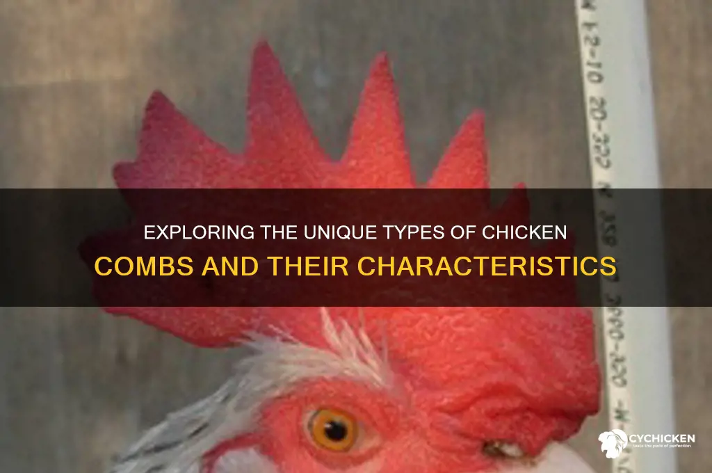 what are the different types of chicken combs