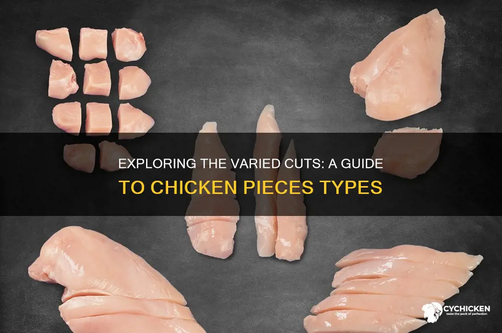 what are the different types of chicken pieces