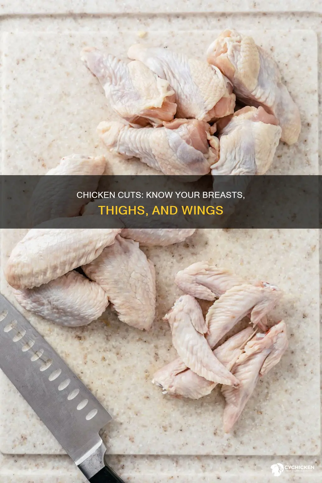 what are the different types of cuts of chicken