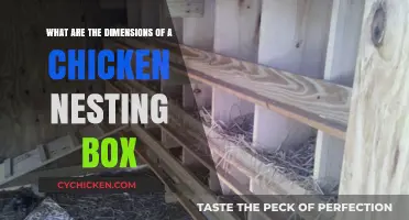 Chicken Nesting Box Dimensions: How Big Should They Be?