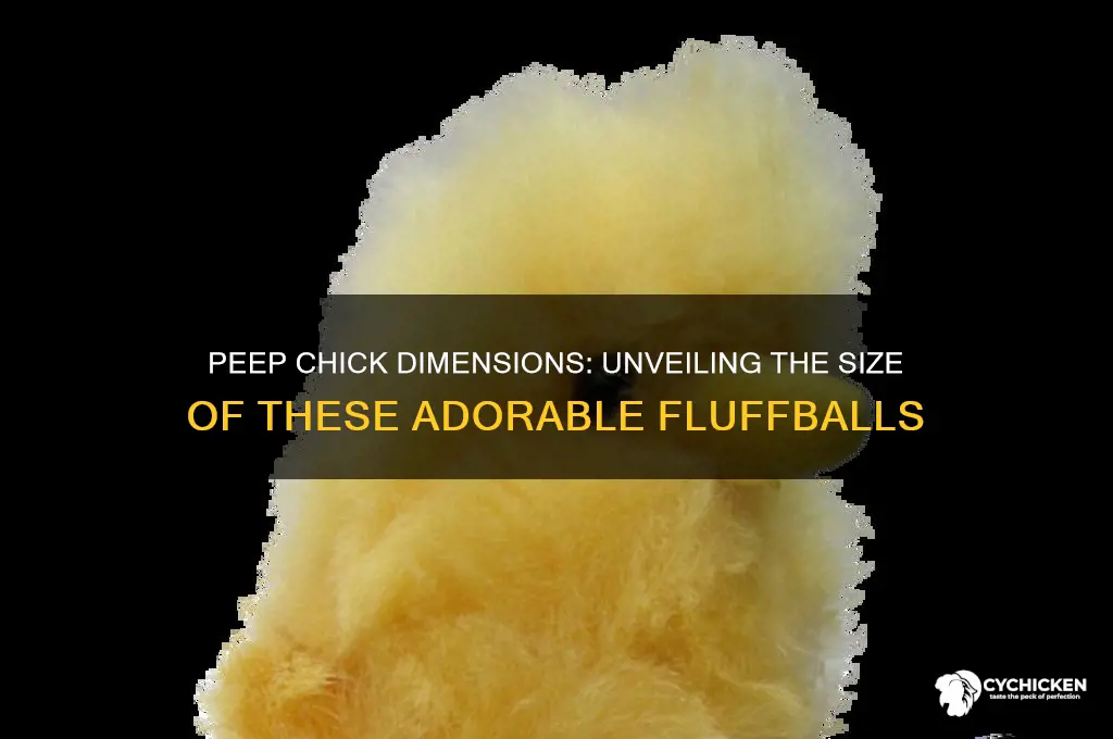 what are the dimensions of a peep chick