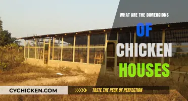 Optimal Chicken House Dimensions: Sizing for Happy, Healthy Flocks