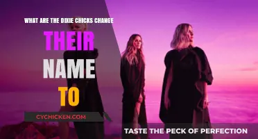 Dixie Chicks' Name Change: Why and What Now?