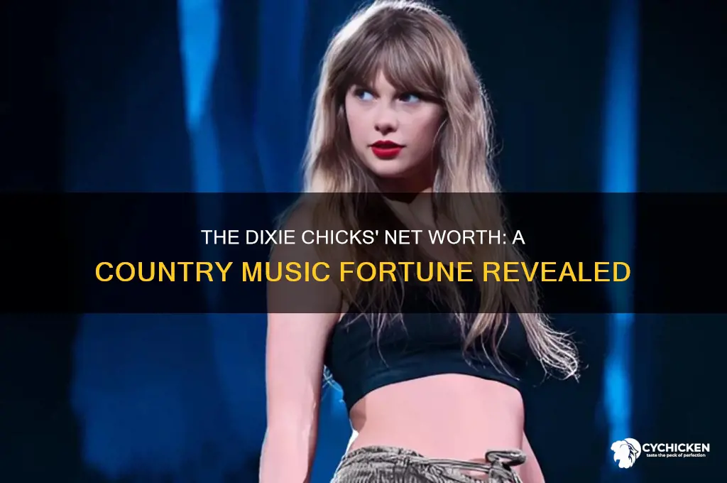 what are the dixie chicks net worth