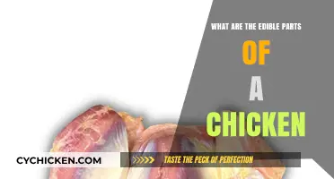 Discovering the Delicious: Edible Chicken Parts Explained and Enjoyed