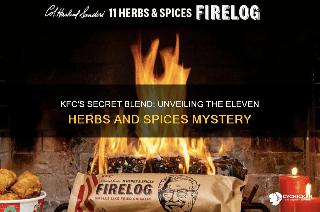 what are the eleven herbs in kfc chicken