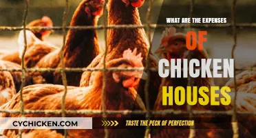 Understanding the Costs of Building and Maintaining Chicken Houses