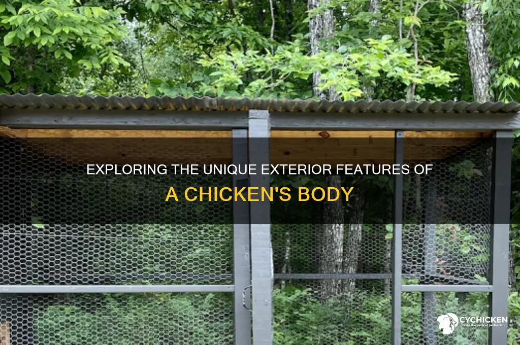 what are the exterior of a chicken