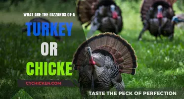Exploring the Gizzards of Turkeys and Chickens