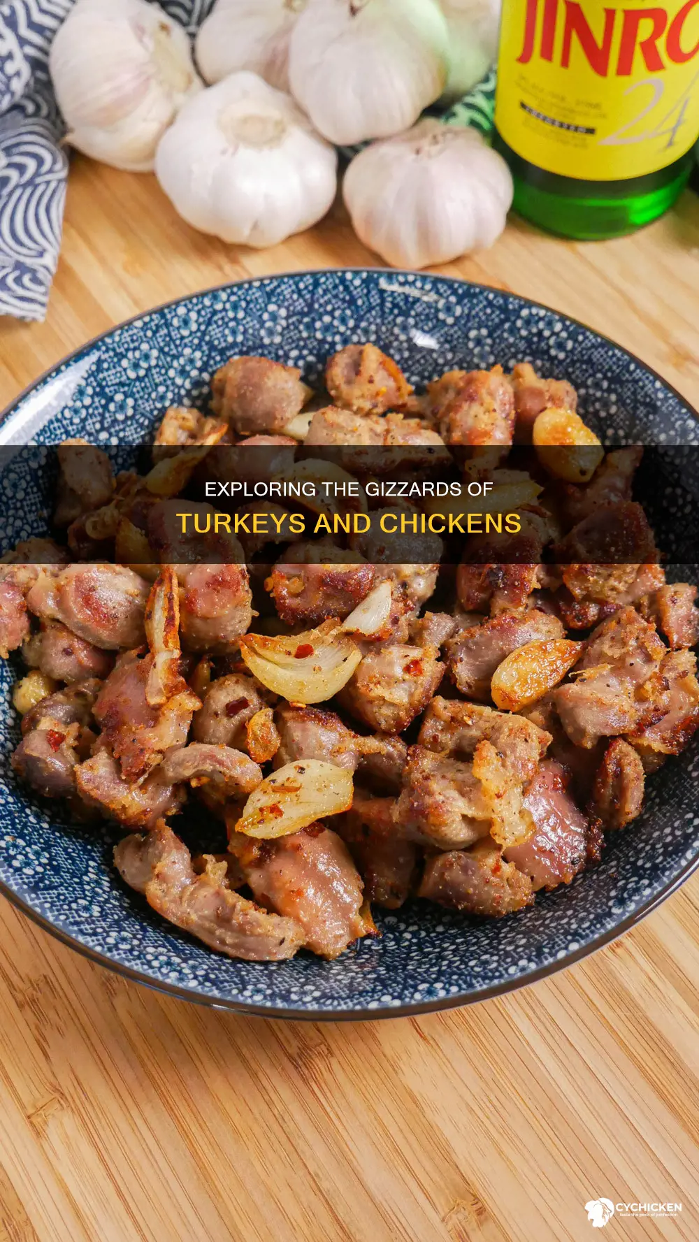 what are the gizzards of a turkey or chicke
