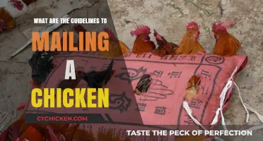 Safe and Legal Tips for Mailing Live Chickens: A Comprehensive Guide