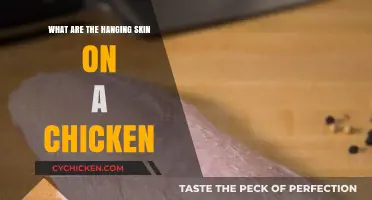 Understanding the Hanging Skin on Chickens: Purpose and Care Explained