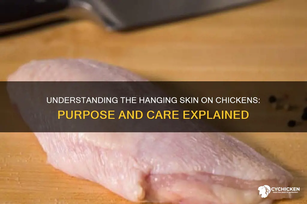 what are the hanging skin on a chicken
