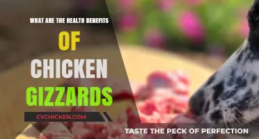 Discover the Surprising Health Benefits of Chicken Gizzards Today