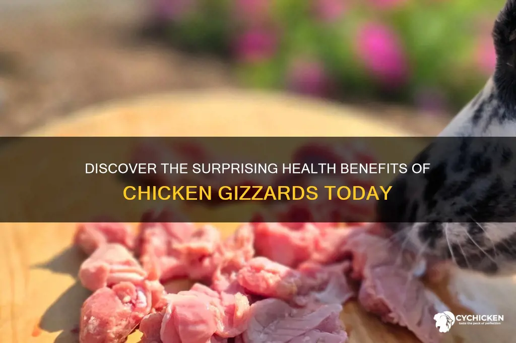 what are the health benefits of chicken gizzards