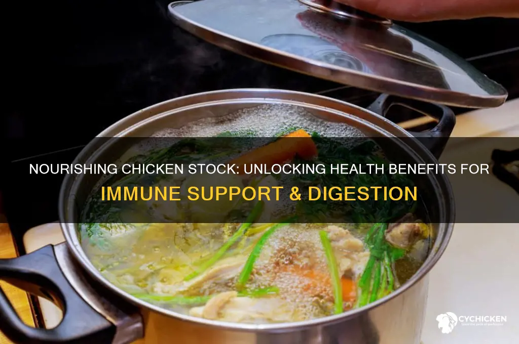 what are the health benefits of chicken stock