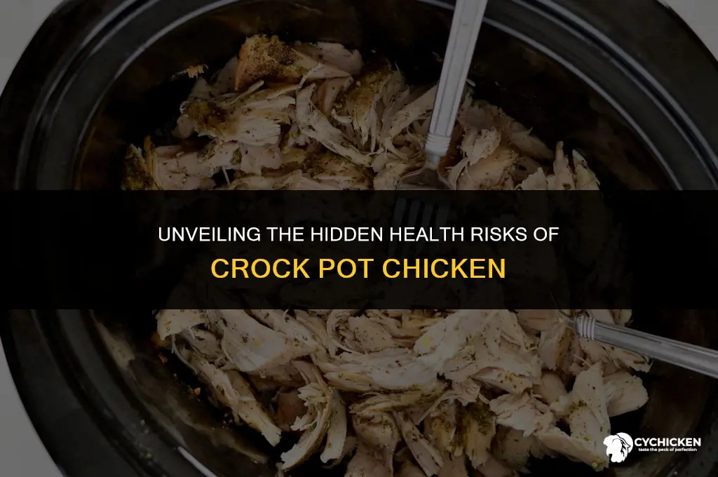 what are the health risks of crock pot chicken