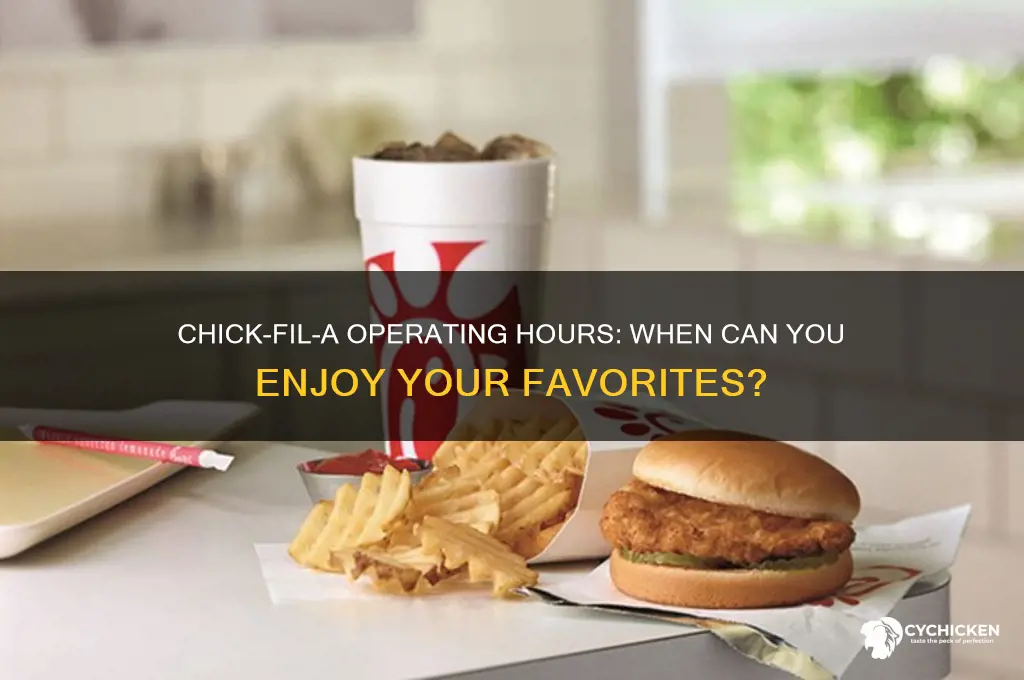 what are the hours of a chick filna