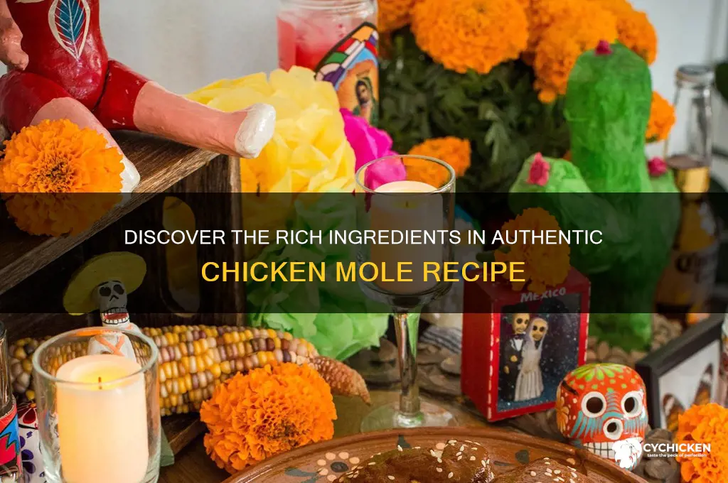 what are the incredients of chicken mole