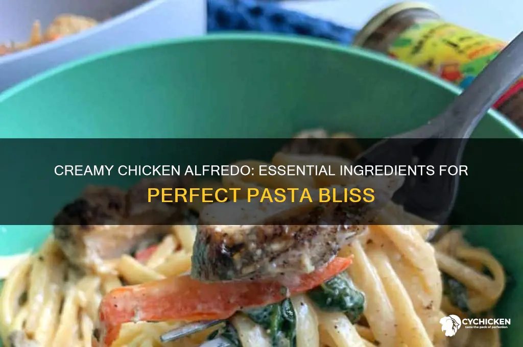 what are the ingredients for chicken alfredo