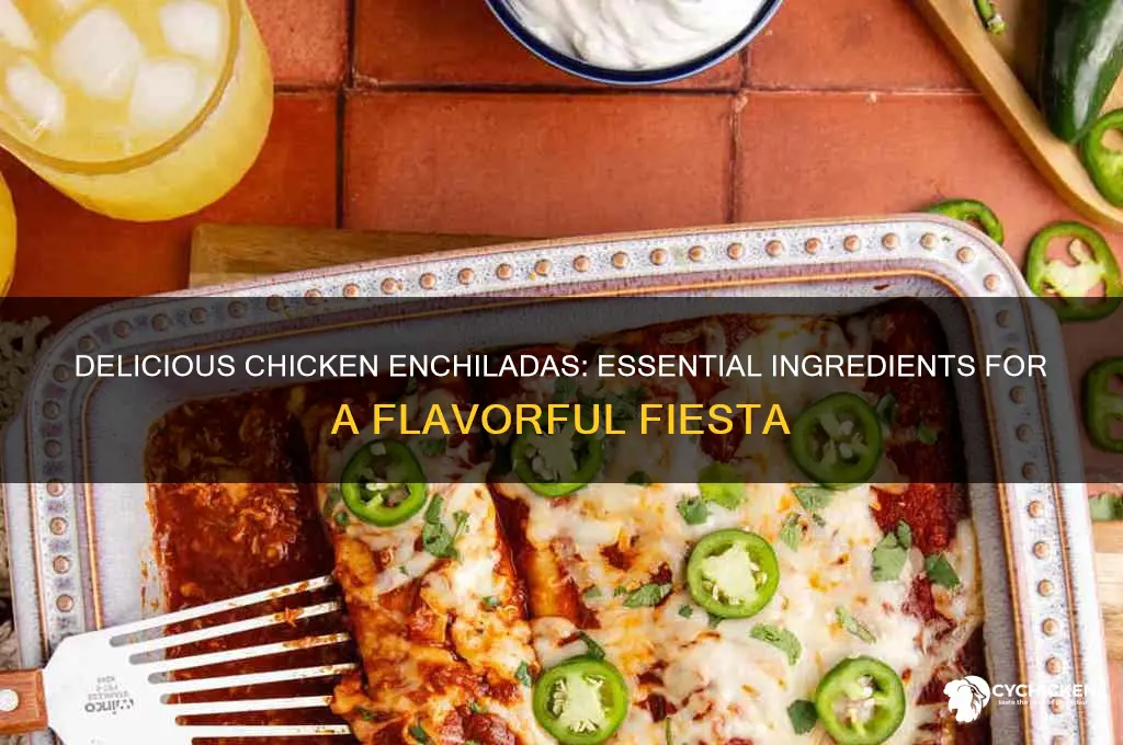 what are the ingredients for chicken enchiladas