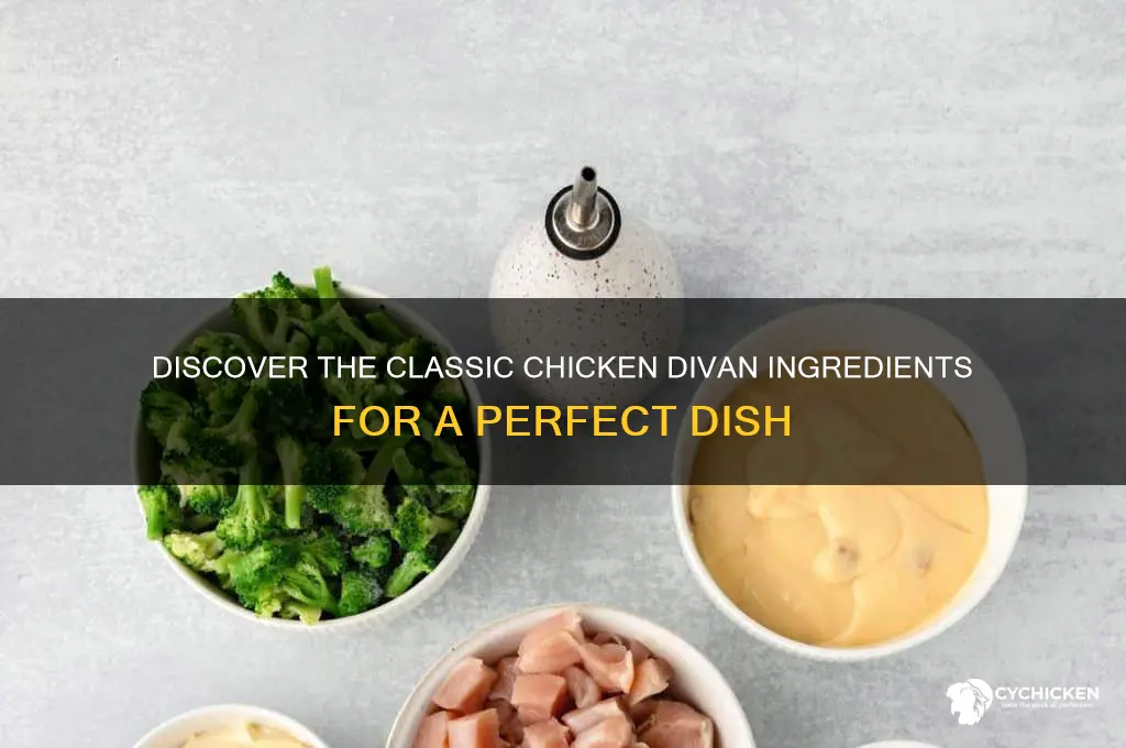 what are the ingredients in chicken divan
