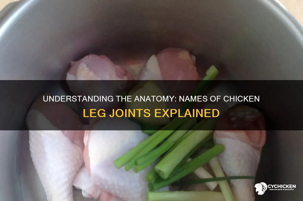 what are the joints of chicken leg called