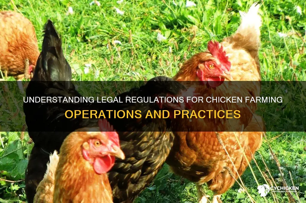 what are the laws for chicken farms