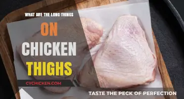Understanding the Long, Silky Tendons on Chicken Thighs: A Culinary Guide