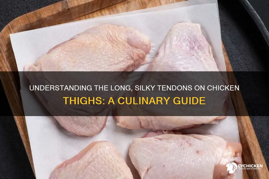 what are the long things on chicken thighs