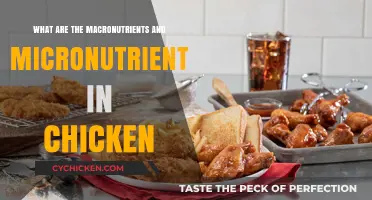 Chicken Nutrition: Exploring Macronutrients and Micronutrients in Poultry