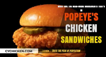 Unveiling the Artificial Ingredients in Popeye's Chicken Sandwiches