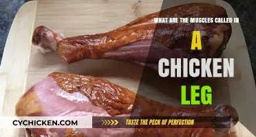 Chicken Leg Muscles: What Are They Called?
